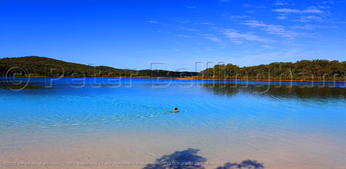 Peter Bellingham Photography Swimming - Lake McKenzie - Fraser Island - QLD T (PB5D 00 51A1858)